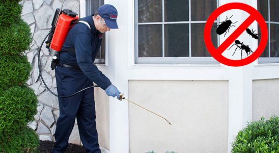 Muratpaşa Böcek İlaçlama böcek ilaçlama ve haşere kontrolü — ilaclama-tr.com